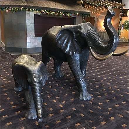 Elephants Roam Free In Kalahari Hospitality Retail Main Elephants Roam Free In Hospitality Retail